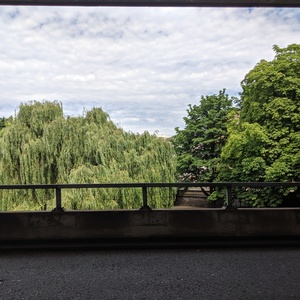 IMG_20190705_072630.jpg